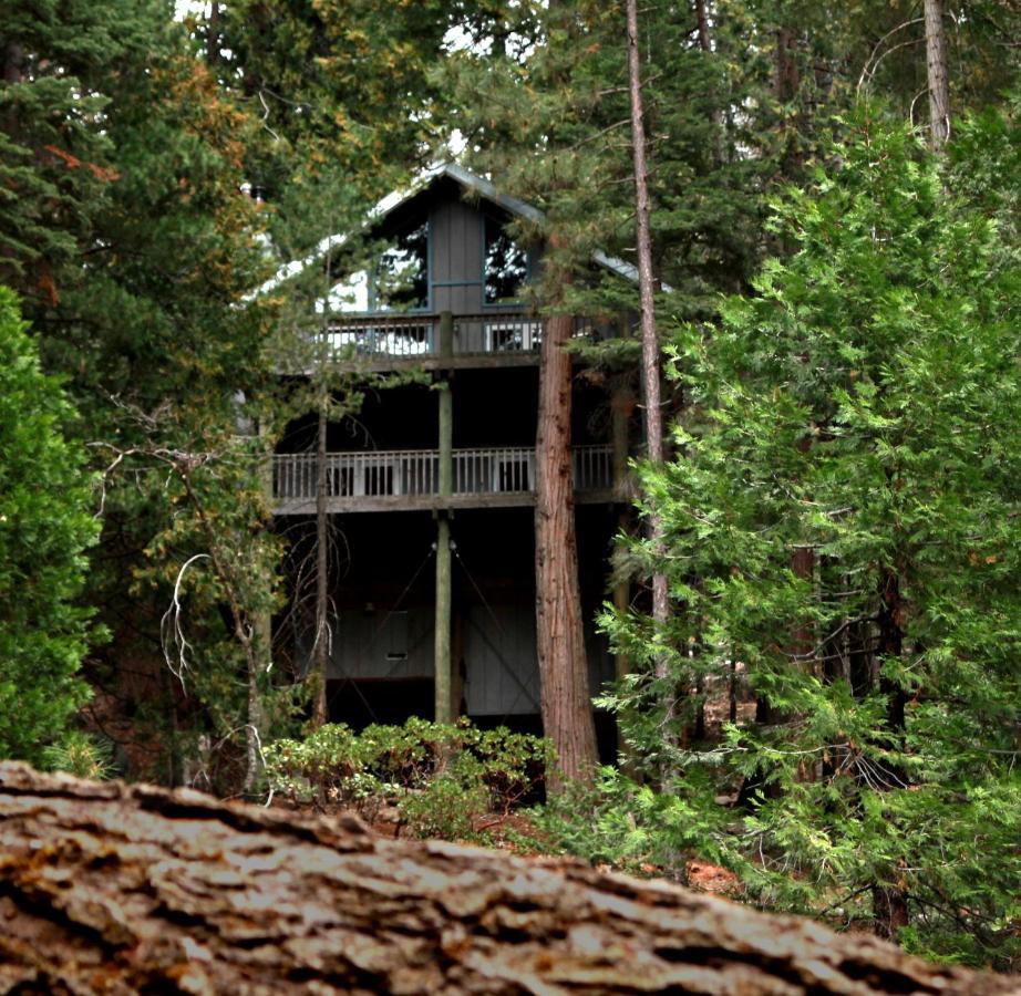 Tree House Lodge Yosemite West Exterior photo
