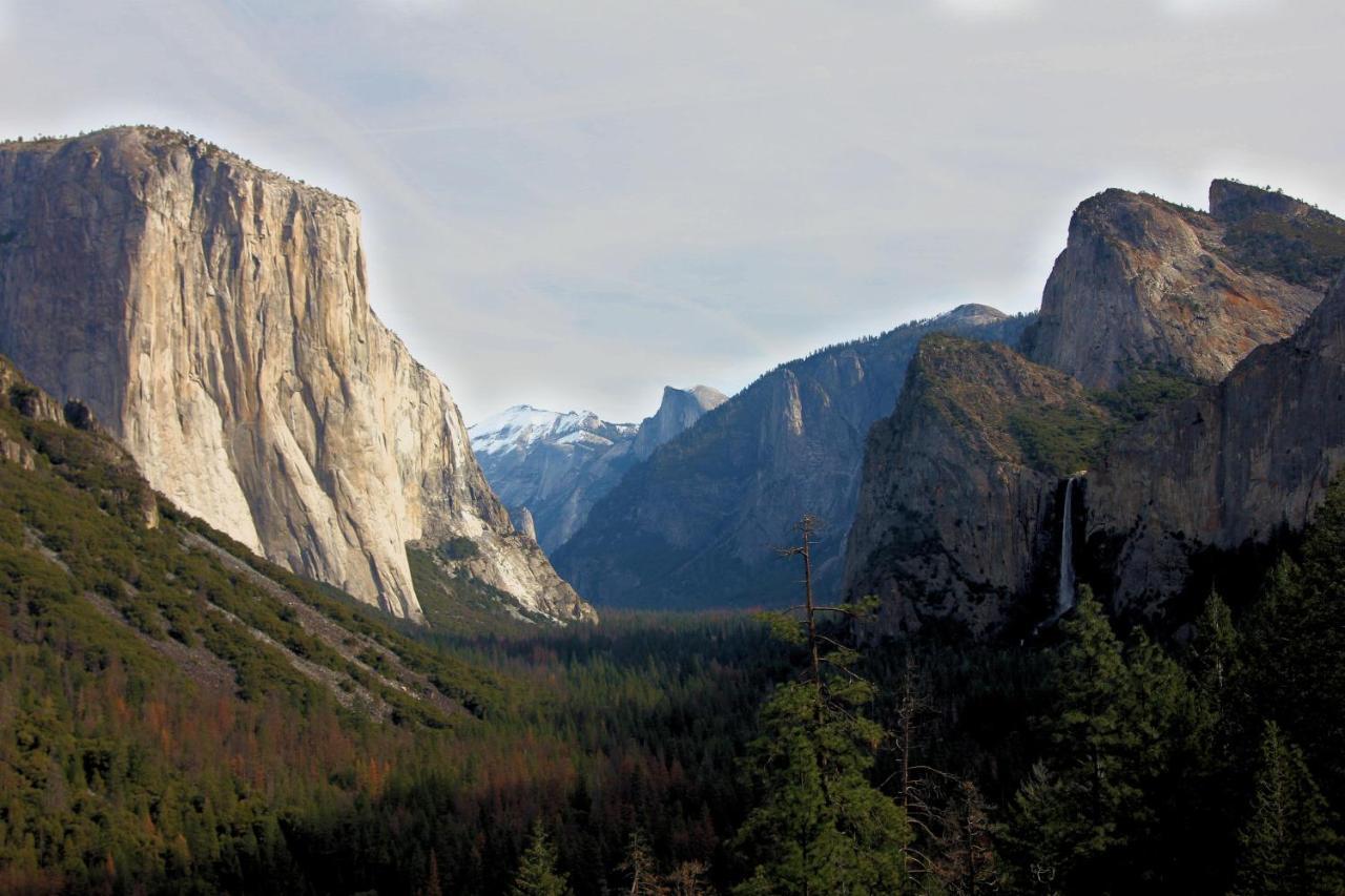 Tree House Lodge Yosemite West Exterior photo